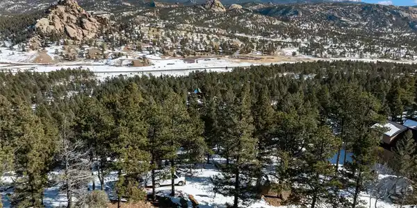 Conifer Circle