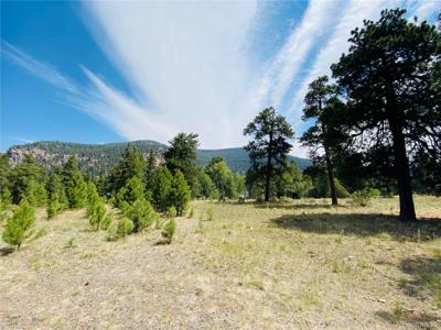 133 Canyon View Drive
