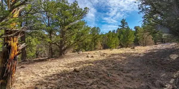 Lot 10 Prairie Dog Road