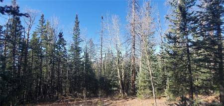 Lot 6581 Ackerman Road