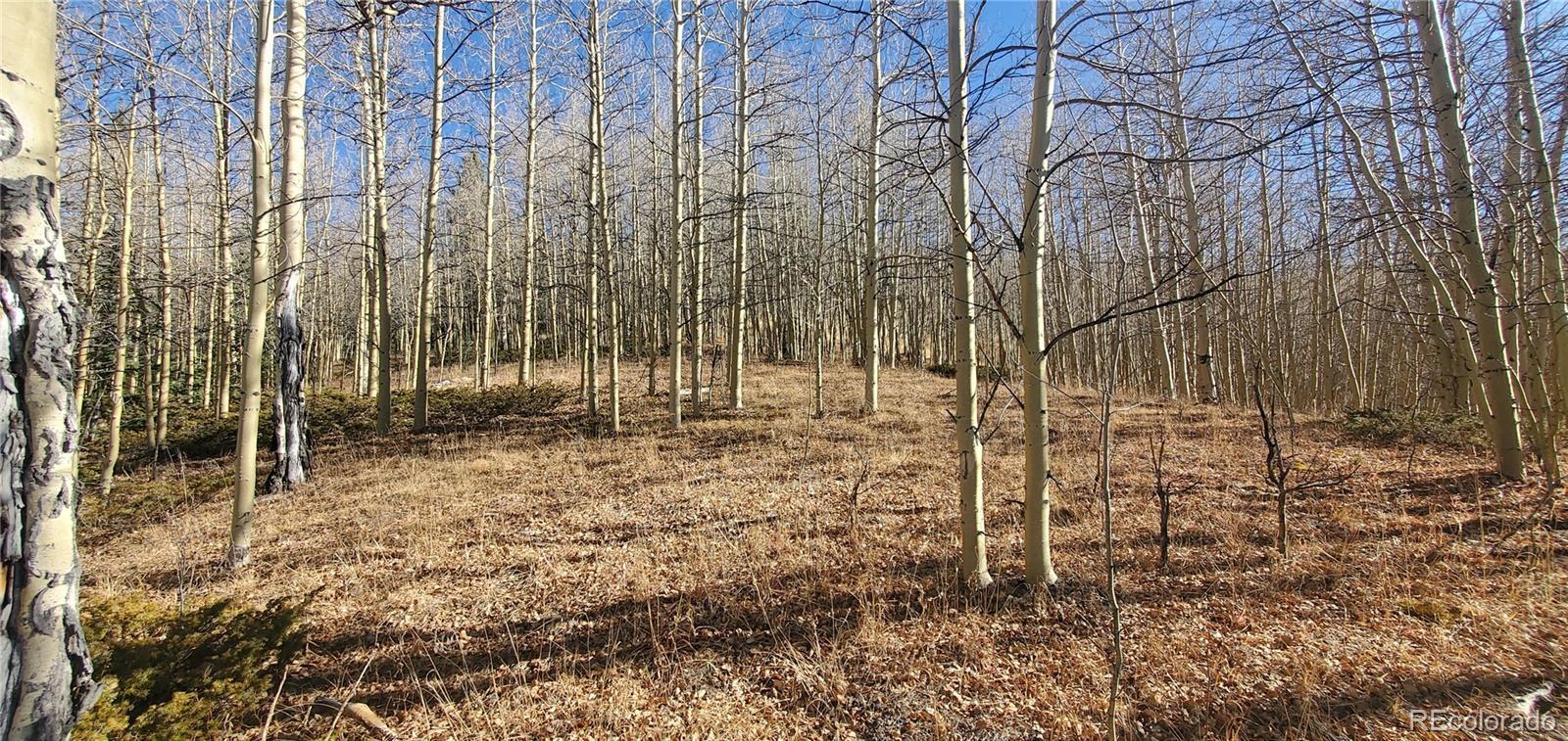 Image 3 Image 3