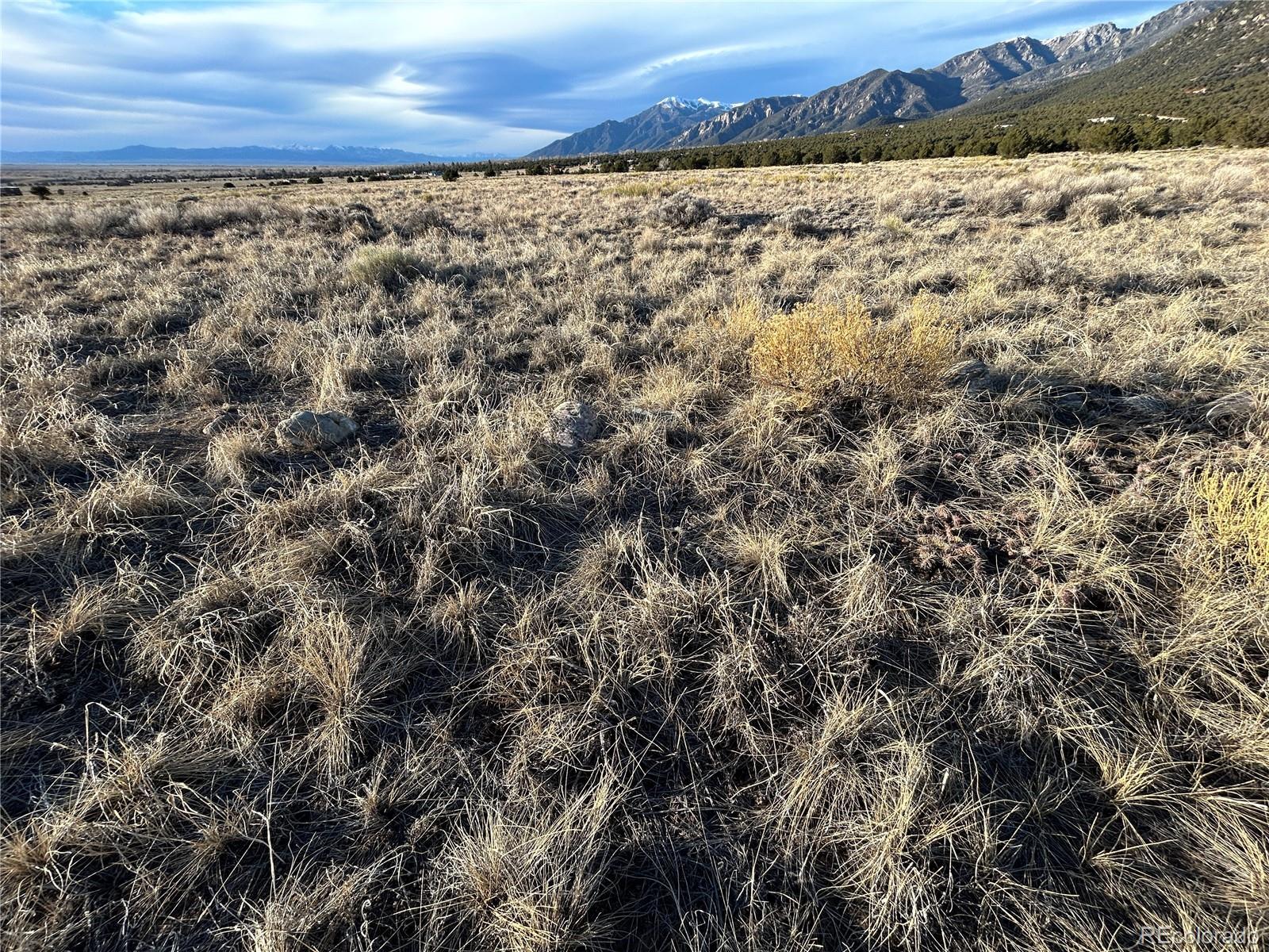 Image 3: Ground view of land showing desert grass.