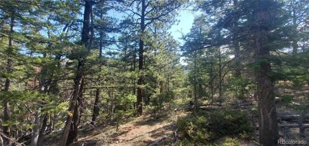 Lot 5273 Vivian Road