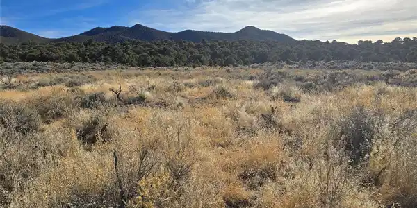 Image 4 Image 4