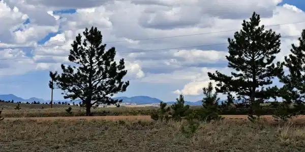 311 Haystack Road