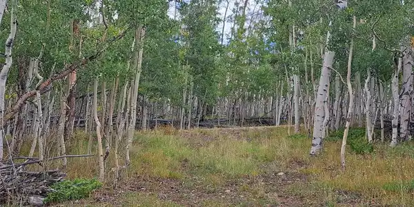 727 French Pass Circle
