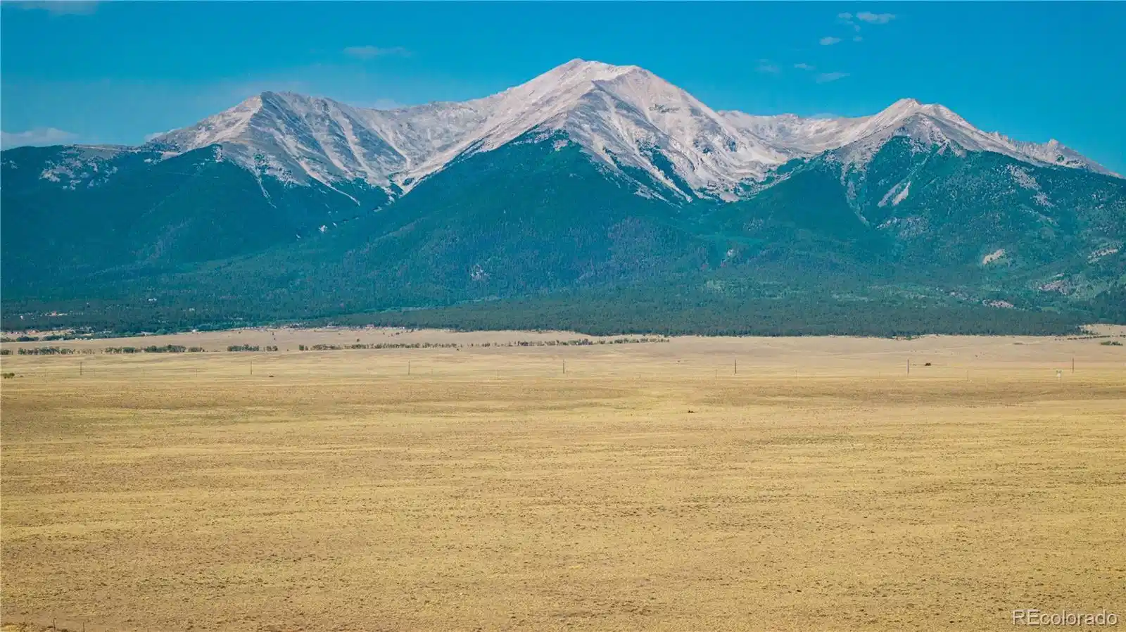 Image 1 Image 1