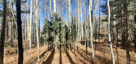 Lot 6060 Forbes Road