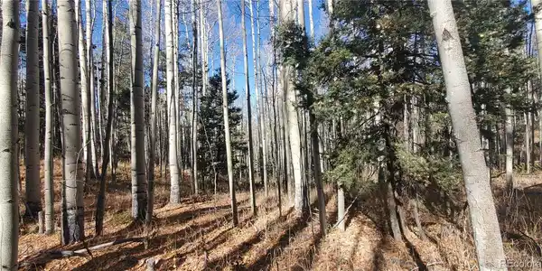 Image 4 Image 4