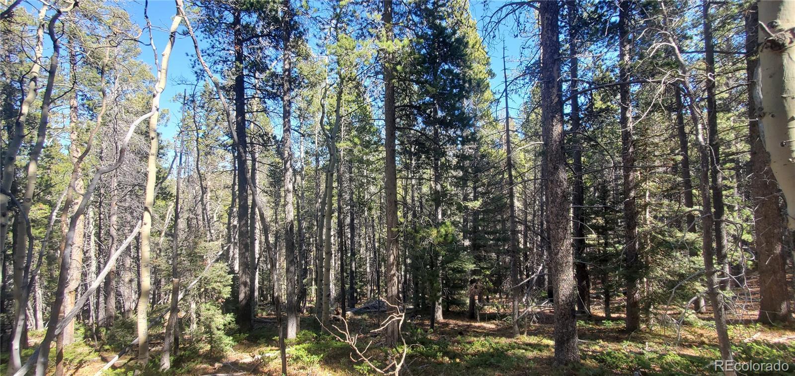 Image 4 Image 4