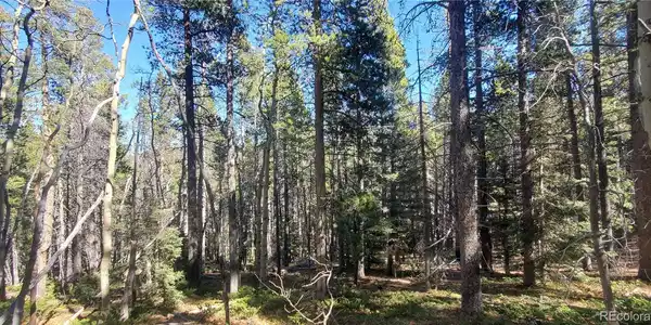 Image 4 Image 4
