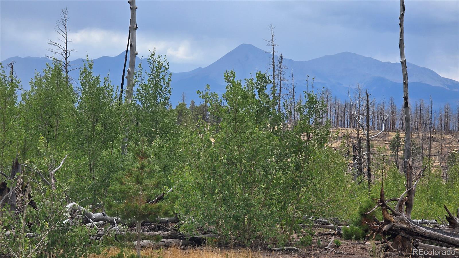 Image 1 Image 1