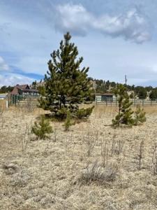 57 Fish Creek
