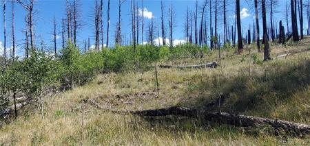 Lot 1064 Reed Lane