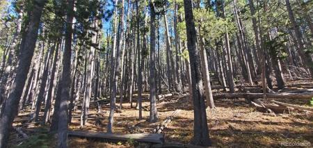 Lot 2682 & 2683 Purnell Lane