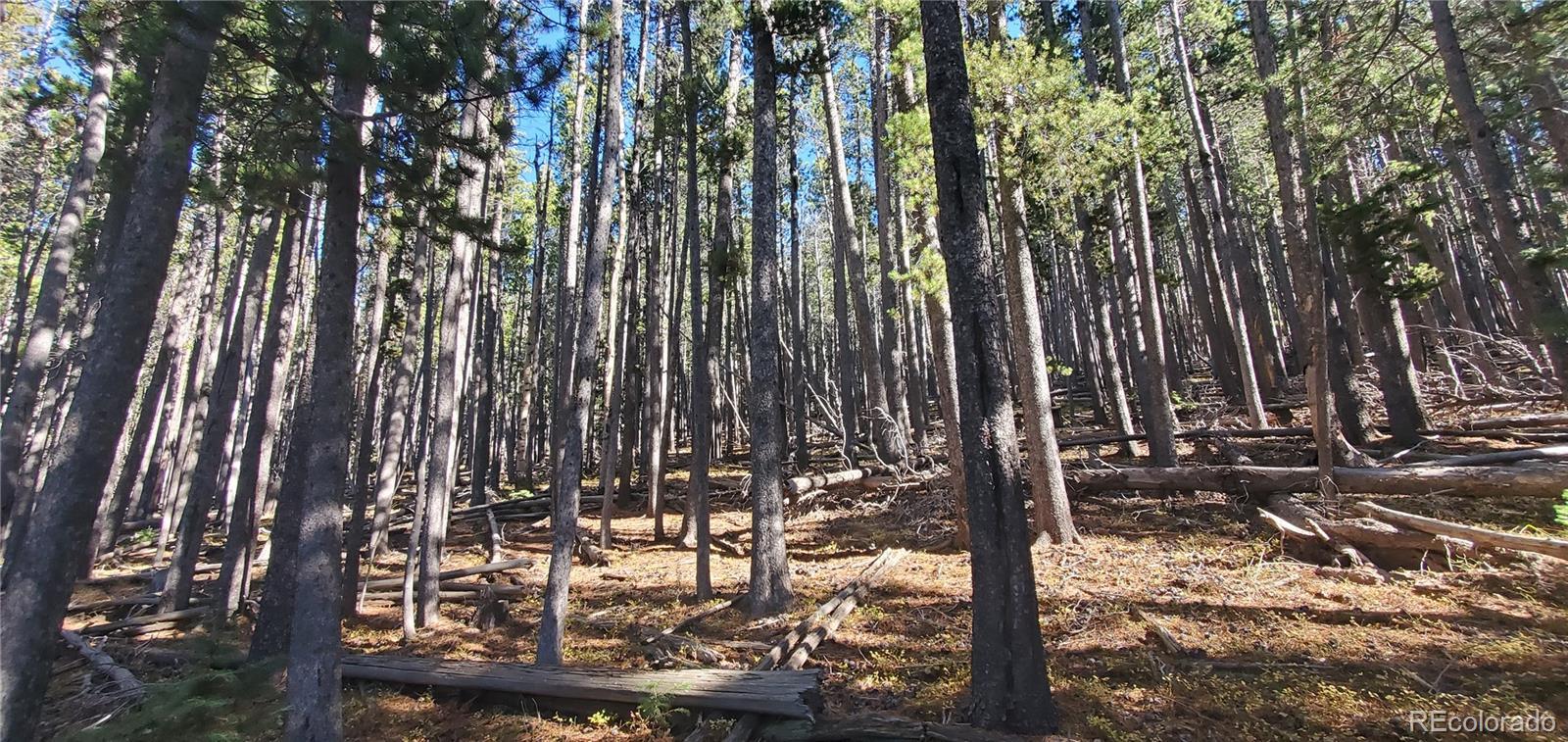 Image 1 Image 1
