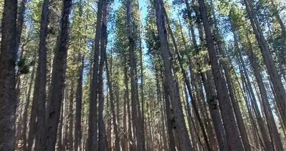 Image 3 Image 3