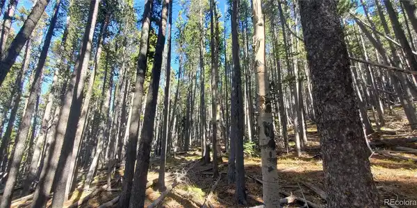 Image 4 Image 4