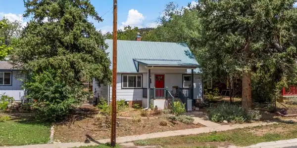 Image 3: Metal Roof