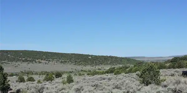 Image 4 Image 4