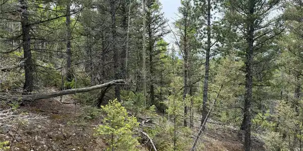 Image 4 Image 4