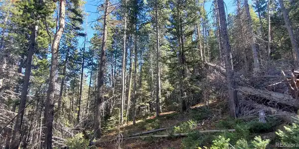 Image 4 Image 4