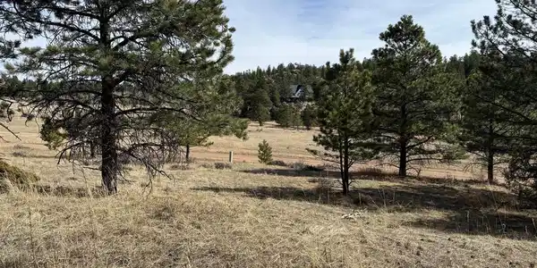 65 Haystack Court