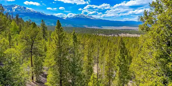198 Mt Elbert Road