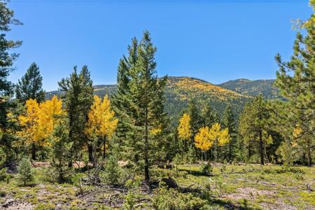 30854 Forest Shadow Trail