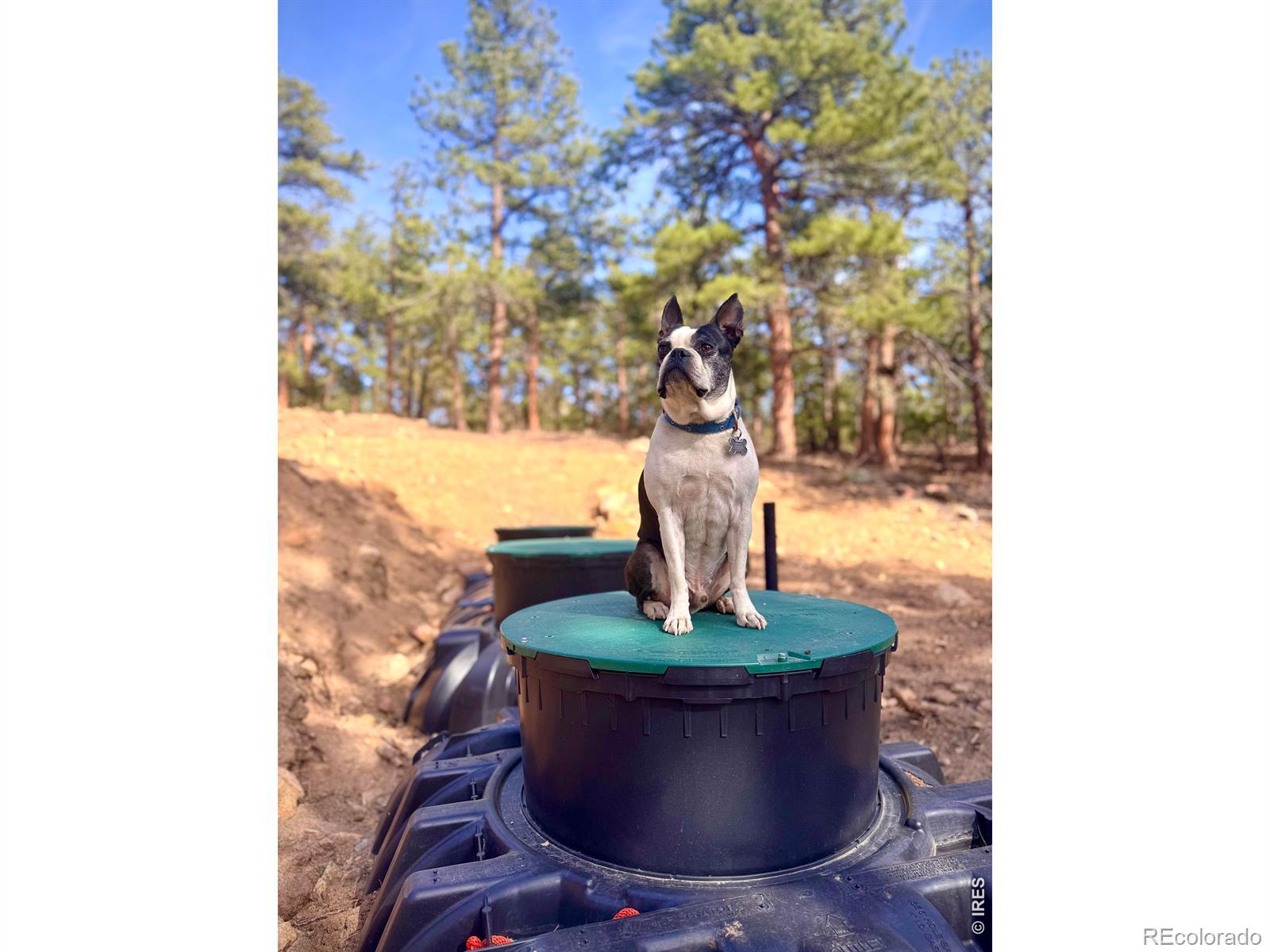 Image 3: Engineered, permitted and inspected 3 bedroom septic system and leach field are installed. Image 3: Engineered, permitted and inspected 3 bedroom septic system and leach field are installed.