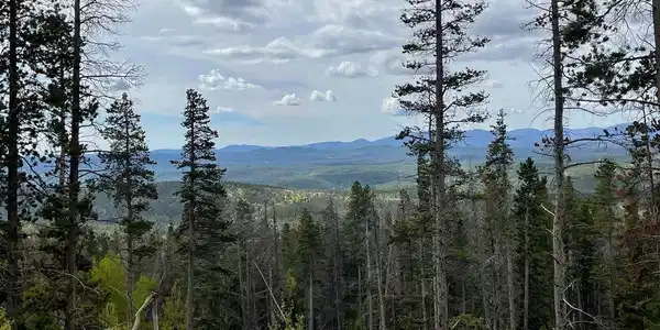 1374 Jicarilla Trail