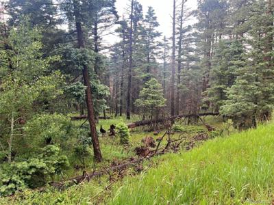 County Rd 406