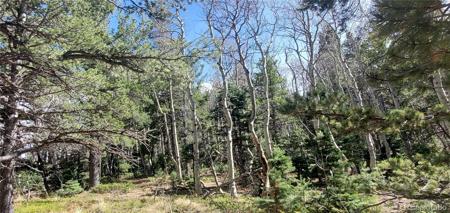 Lot 2560 Grojean Drive