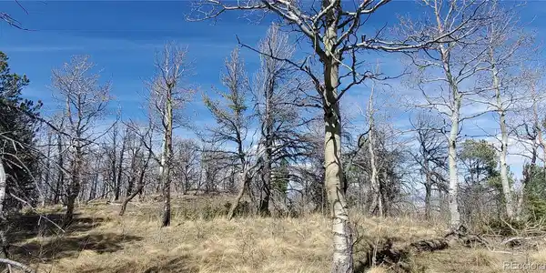 Image 4 Image 4
