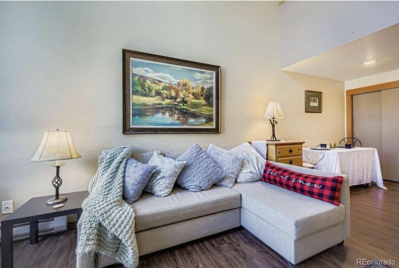 Image 3: Living area and dining nook facing kitchen/front of condo. Couch is a sleeper, with a trundle that pulls out. Large closet next to dining nook.