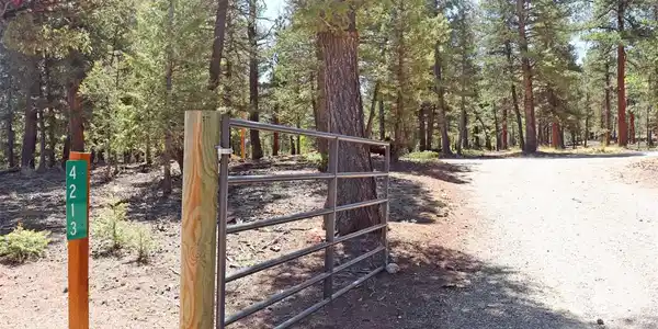 4213 Campfire Road
