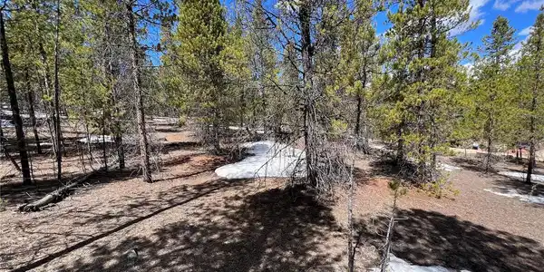 180 Mt Massive Road