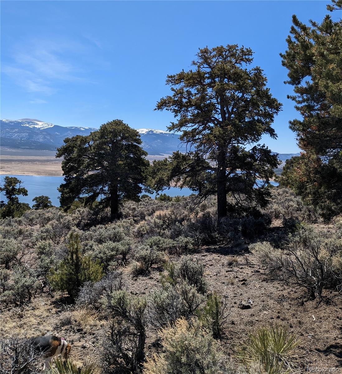 Image 3 Image 3