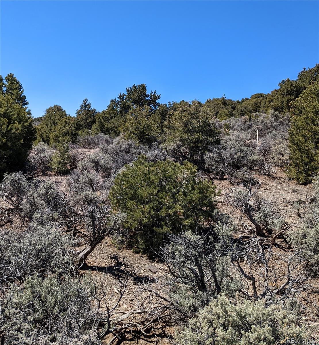 Image 4 Image 4