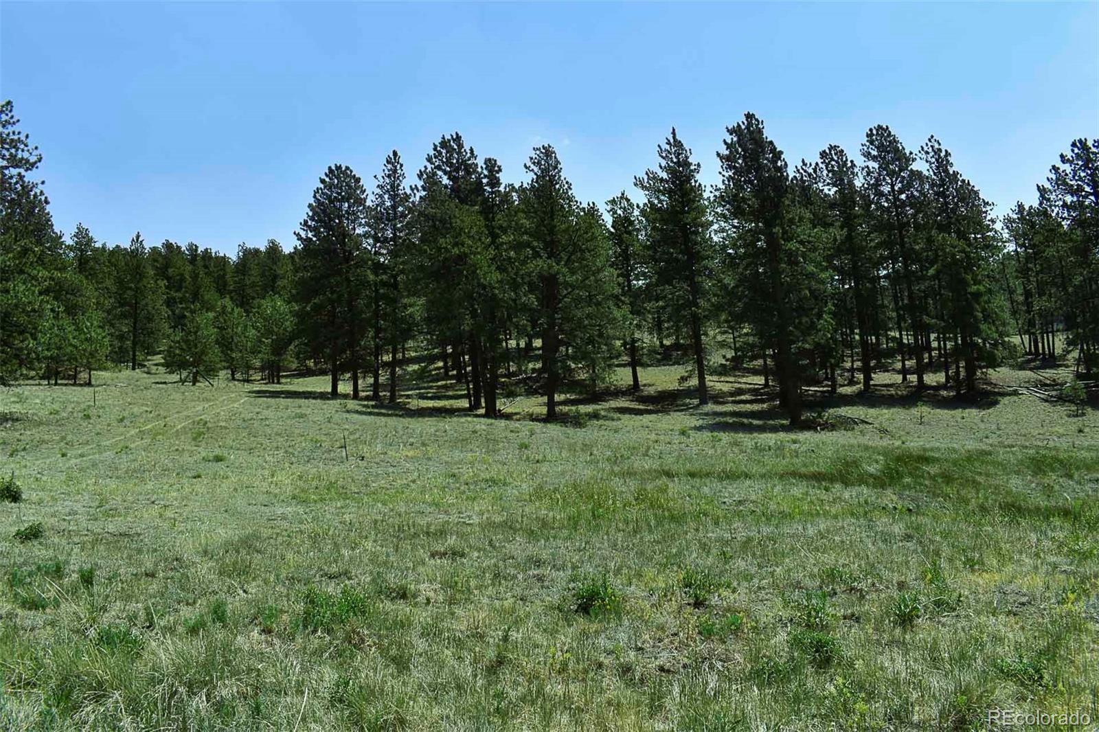Image 3 Image 3