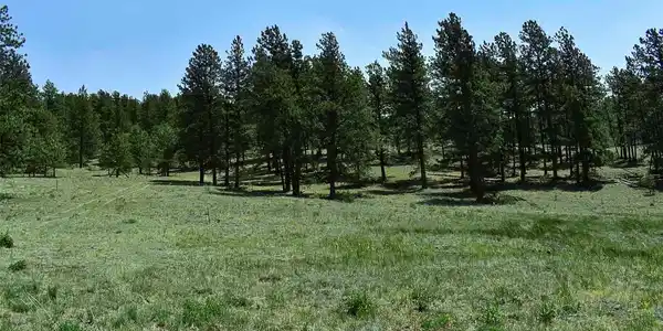 Image 3 Image 3