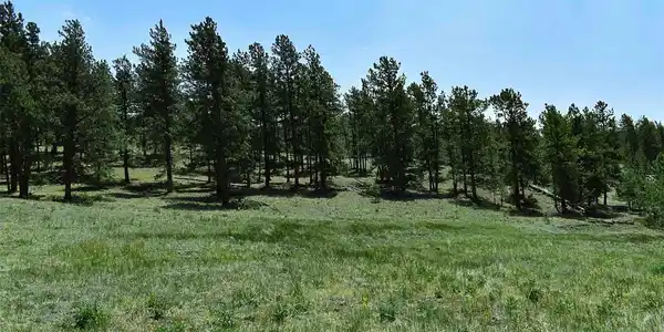 Image 4 Image 4