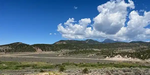 Image 4 Image 4