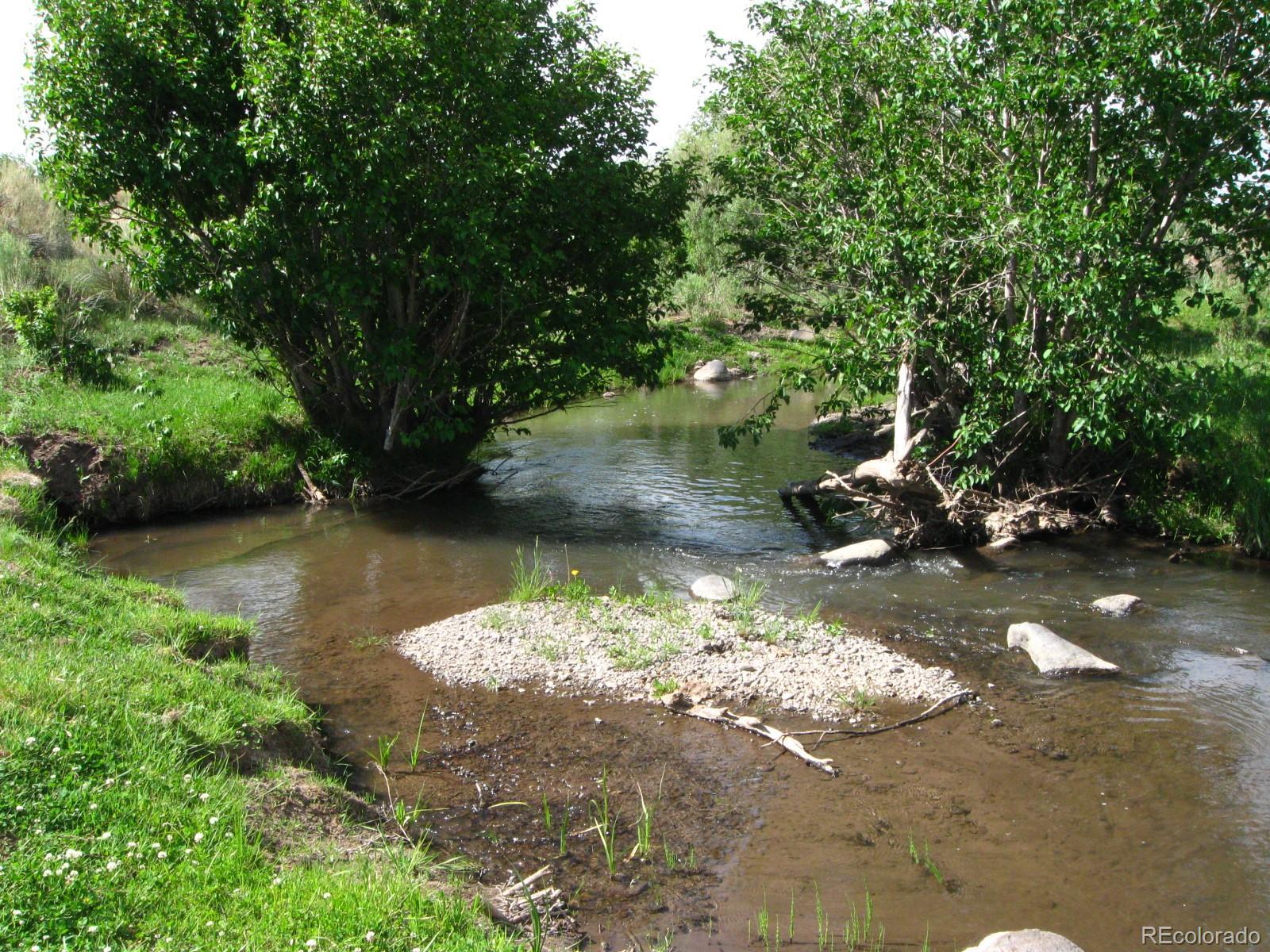 Image 1: Summer greenery along La Jara Creek.