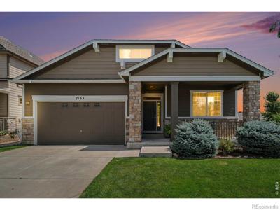 7163 Shadow Ridge Drive