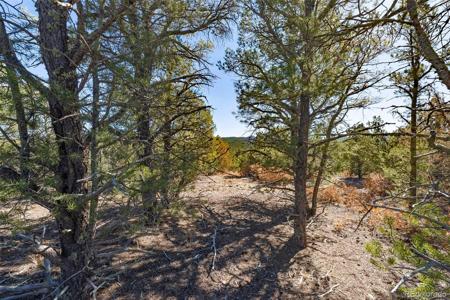 29870 County Rd 16