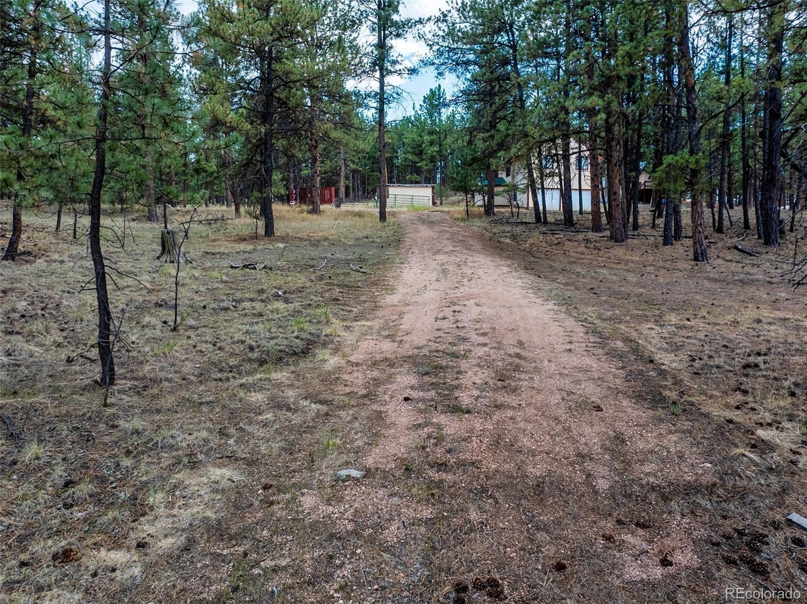 Image 1 Image 1