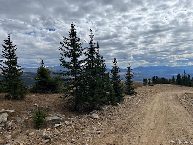 Image 2: Looking down Schlueter from the upper (NE) property boundary. Image 2: Looking down Schlueter from the upper (NE) property boundary.