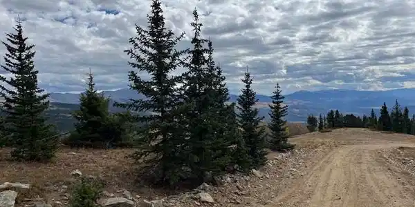 Image 2: Looking down Schlueter from the upper (NE) property boundary. Image 2: Looking down Schlueter from the upper (NE) property boundary.