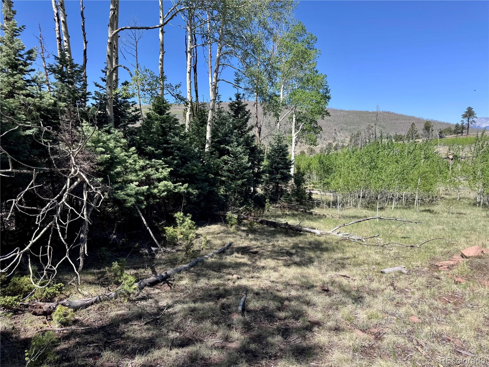 Image 3 Image 3